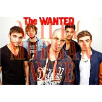 The Wanted 8